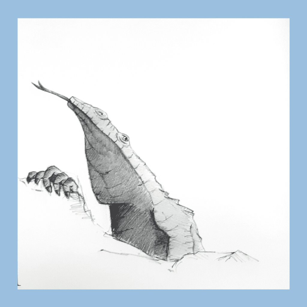 A Lizard draw