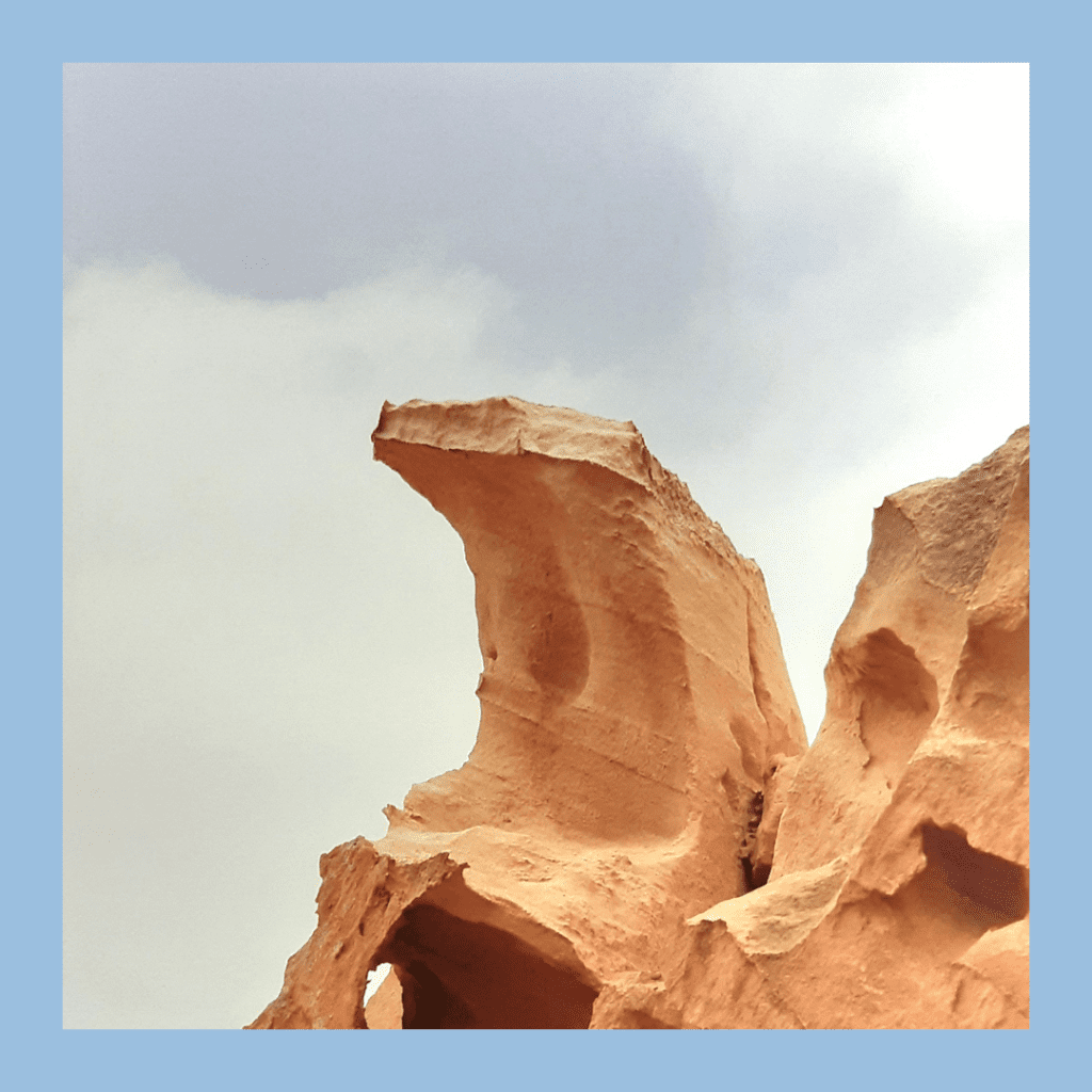 Lizard-shape rock