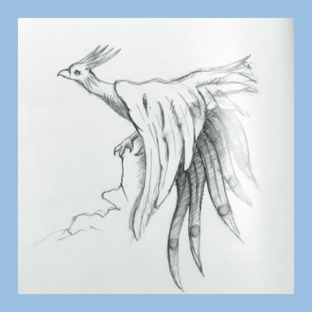 Draw of Phoenix